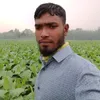 user3525361808889