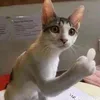 anhkiet_213
