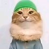natan.watirawit