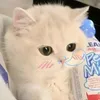 _ngoc_hhan