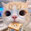 cindymydung251618