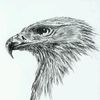 warona984
