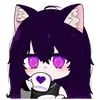 sr_mapache13