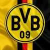 bvb4life5