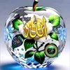 shwanaqaladzey