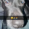 alfieofc