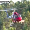 luisbernardo6917