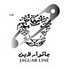 jaguarline.co