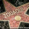 user78375552397081zizo