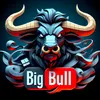 bigbull99999