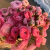 rahmabelal30