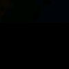 alisitxp_xtf