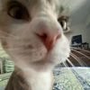 theofficialmomtoe43