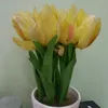annamash70