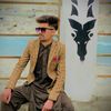 ameerhasan.110