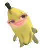 melzalia