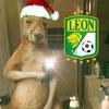 edits_leon_fc