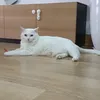 bon.bng.bo