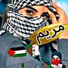 user5904714120579