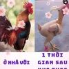 hoangxuanchieu991