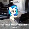 syrnieshariki
