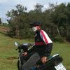 phai_206