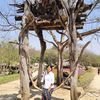 ma.than.htwe1