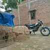 agunxdjalu05