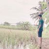 widodo.bae_