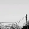 rochi_pantoja