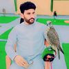 waleedalijaan