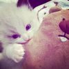 diniviyyaaa_