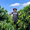 Thế Giới Cây Giống