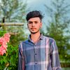 mdamirhamza5591