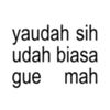 .zzieedd4shrr_08