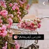 user8zry4etlsw