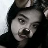 celly_evgst
