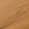 .ag_305