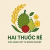 VTNN Hai Thuốc Rê