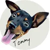 tommy_jokes