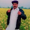khuramshahzad1737