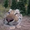nguoivuive17
