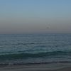 _qurrann_