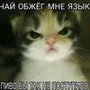 kriq__