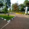 davidmike233