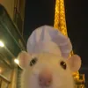 pinercy