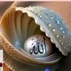 user8700696769433