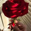 saneamina