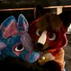 tracefoxo