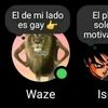 sbdcy8q
